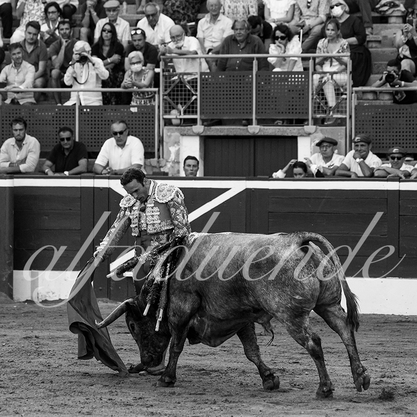 20210724 tarde mt de marsan alfaduende 023