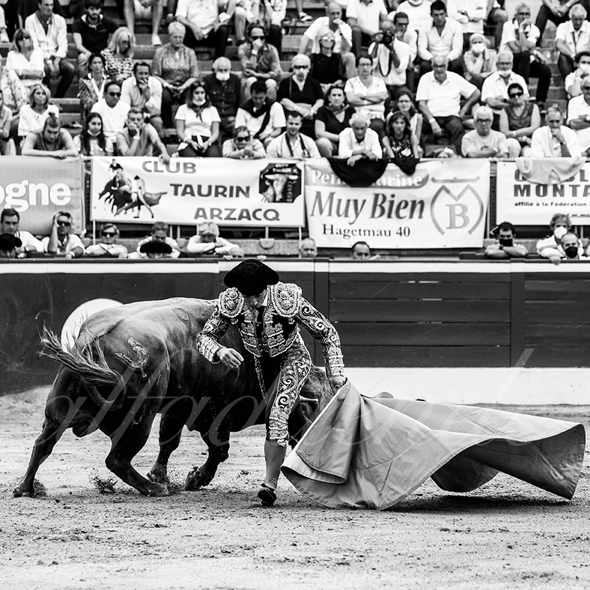 20210725 mt de marsan alfaduende 002 fd