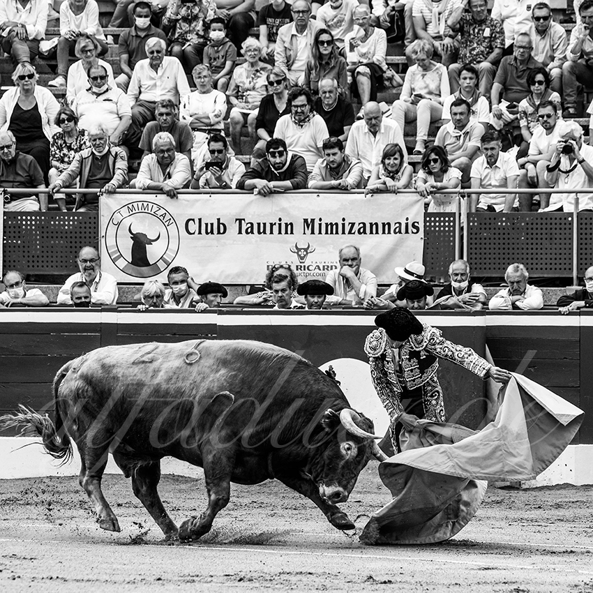 20210725 mt de marsan alfaduende 003 fd