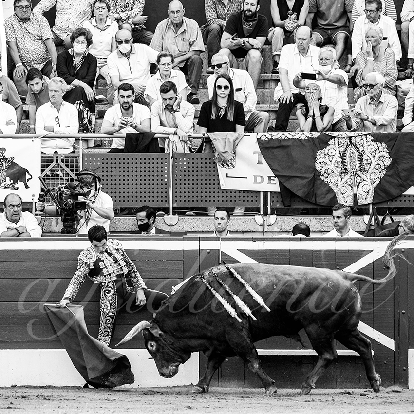 20210725 mt de marsan alfaduende 004 fd