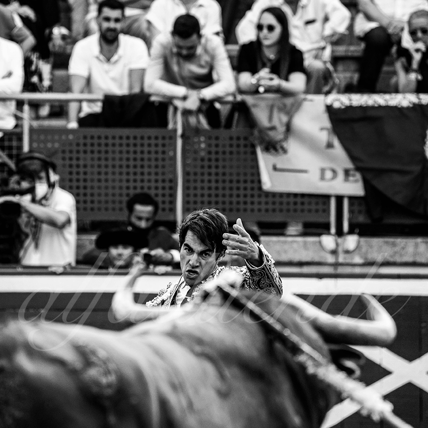 20210725 mt de marsan alfaduende 005 fd