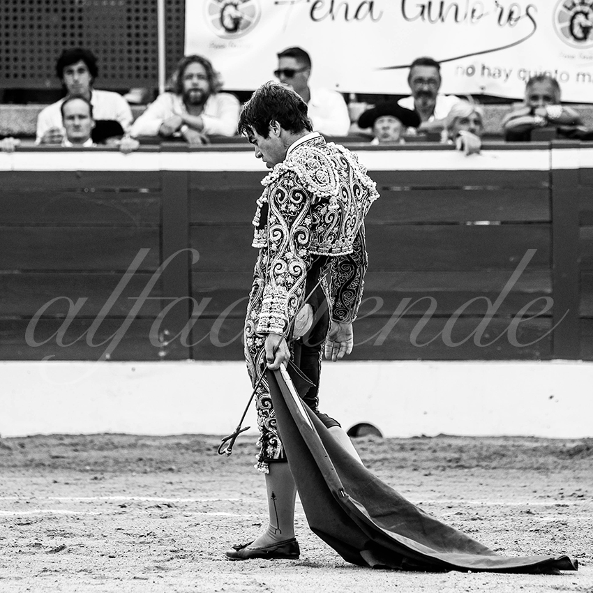 20210725 mt de marsan alfaduende 006 fd