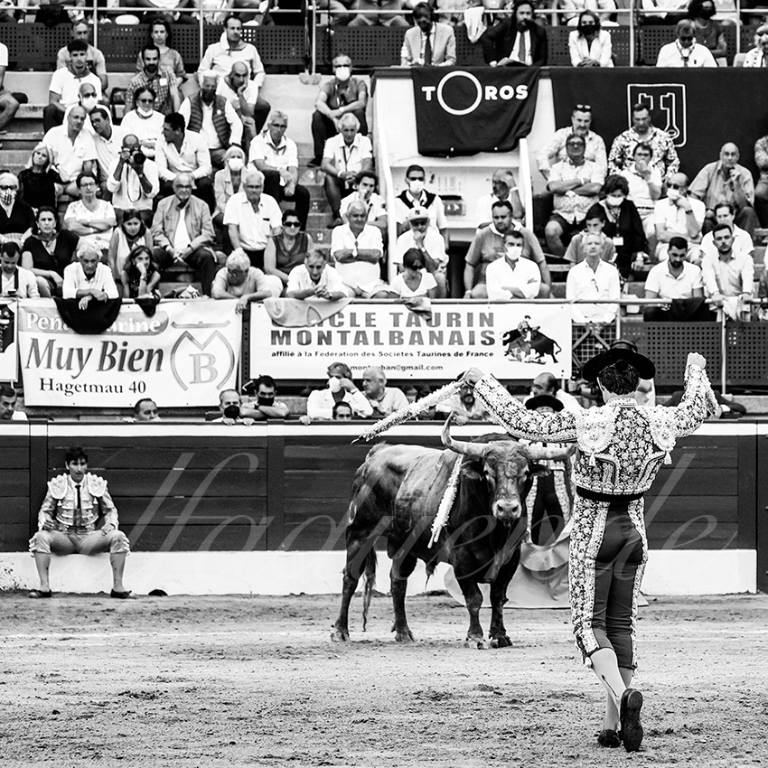 20210725 mt de marsan alfaduende 009 fd