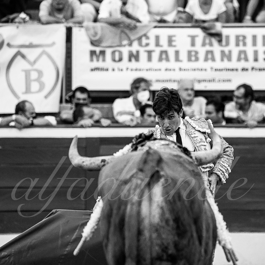 20210725 mt de marsan alfaduende 010 fd