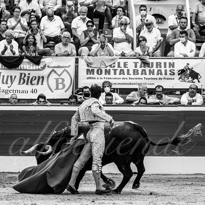 20210725 mt de marsan alfaduende 013 fd