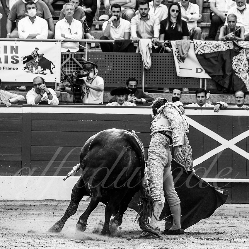 20210725 mt de marsan alfaduende 014 fd