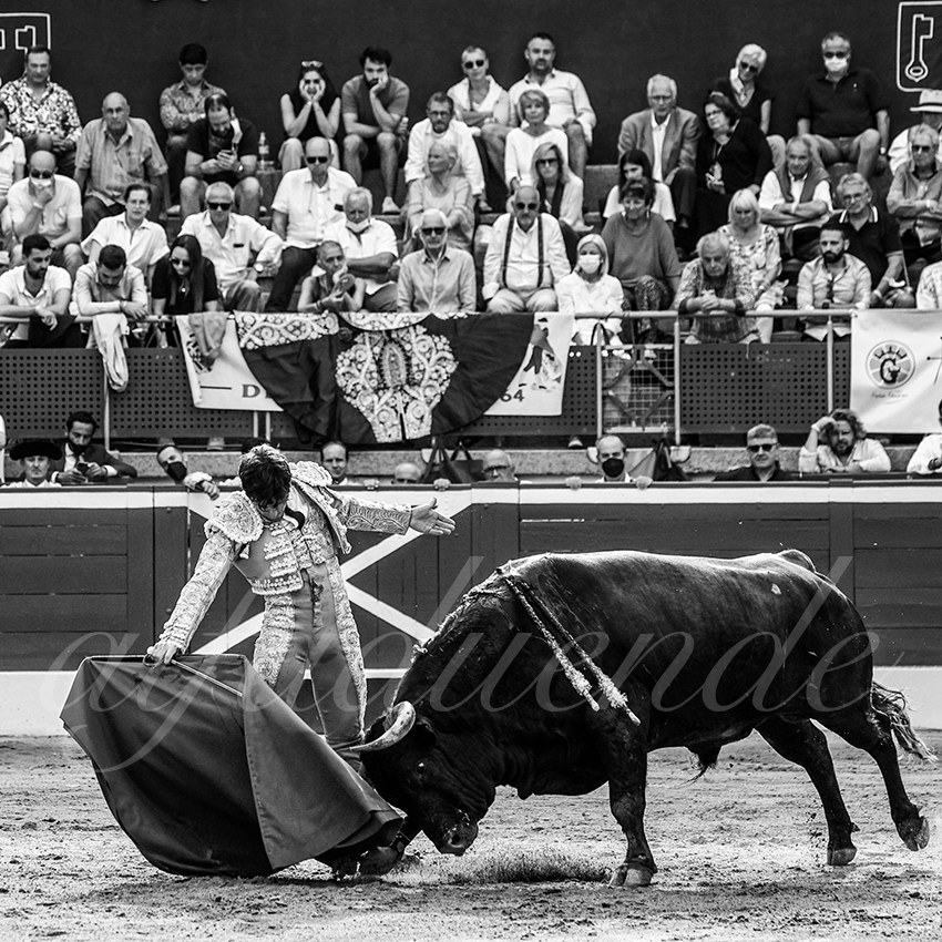 20210725 mt de marsan alfaduende 018 fd