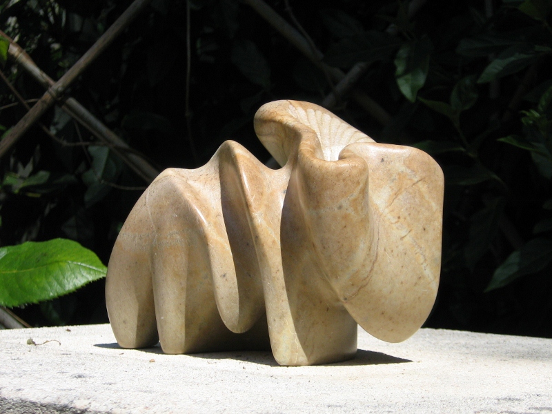 Murex elephantesque 1 