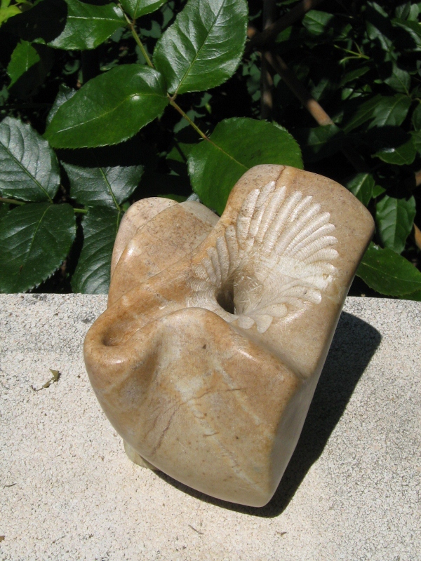 Murex elephantesque 6 