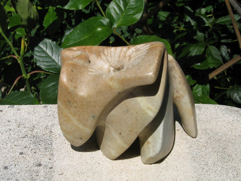 Murex elephantesque 7 