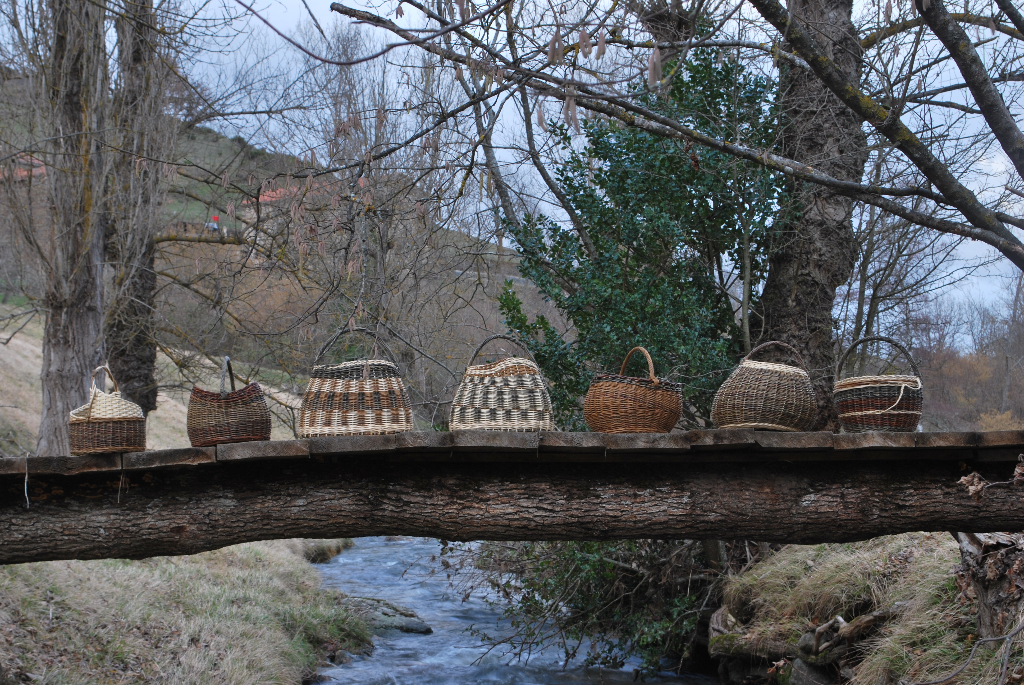 Paniers osier