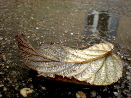 4 en attendant l hiver