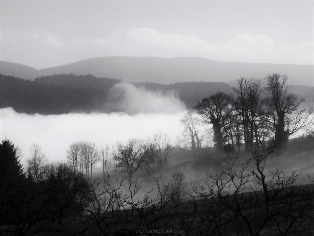 Brume jo 2019 nb 3 