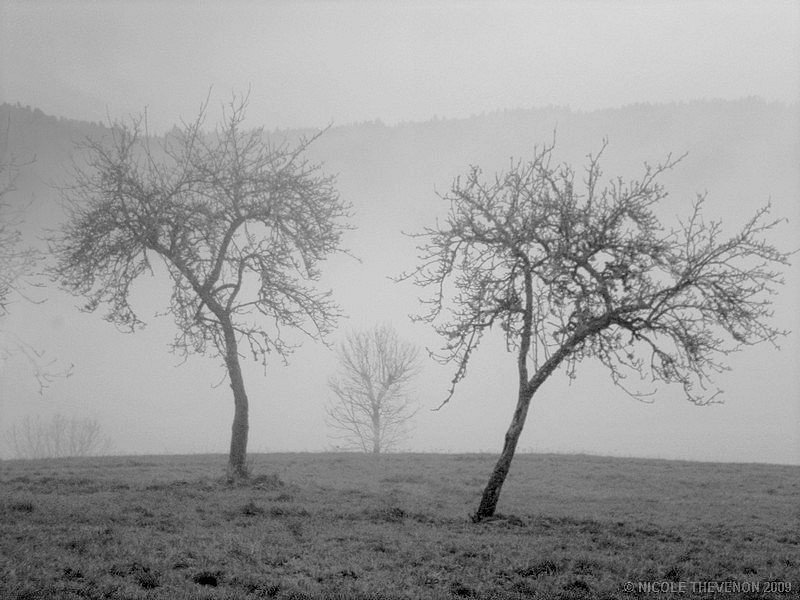 Ferroussac 8 a