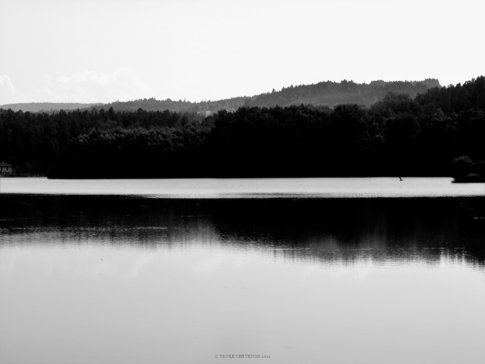 D une rive a l autre