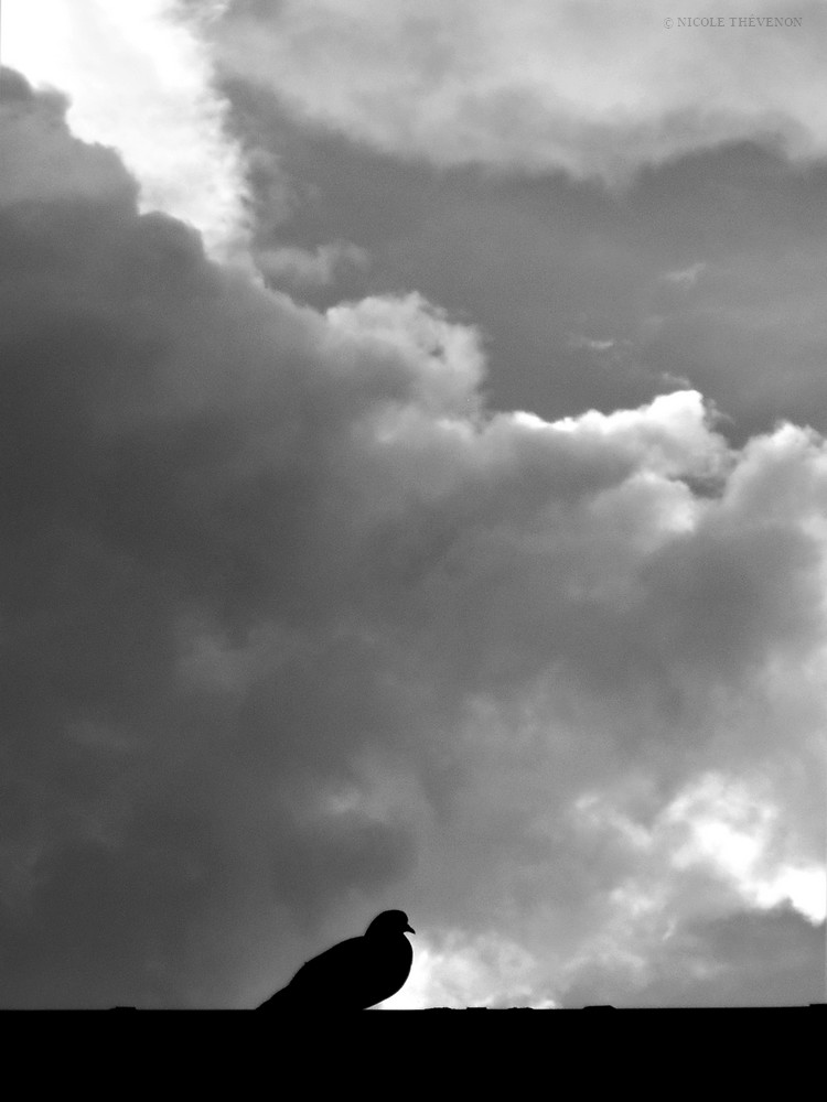 Quietude