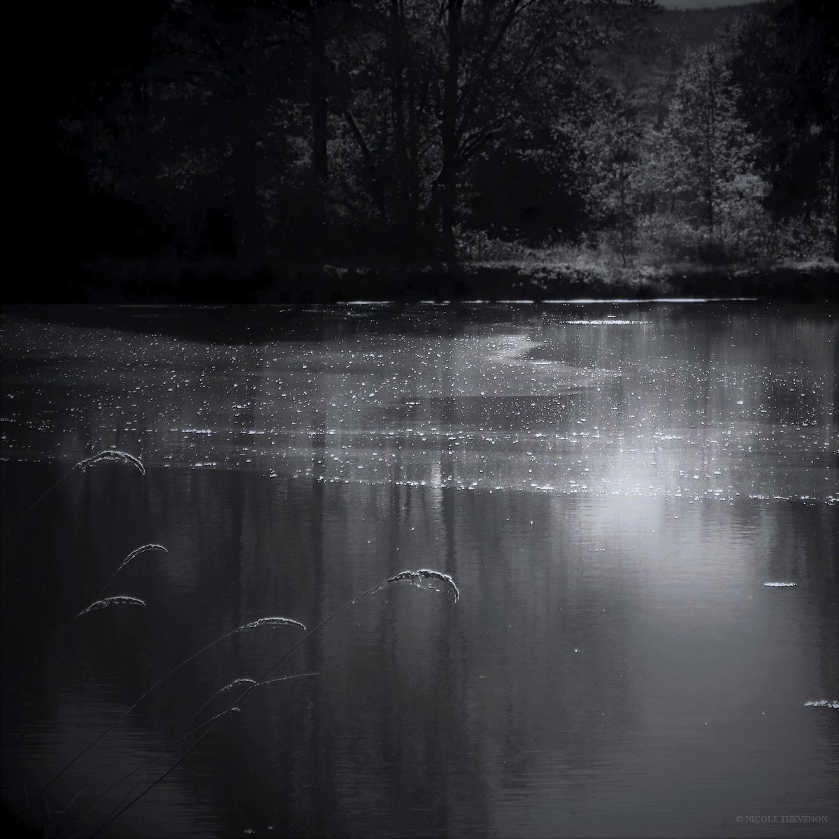 Etang cartier 2018 113 abbr