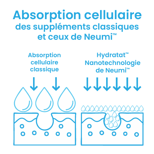 Absorption cellulaire classique vs nano