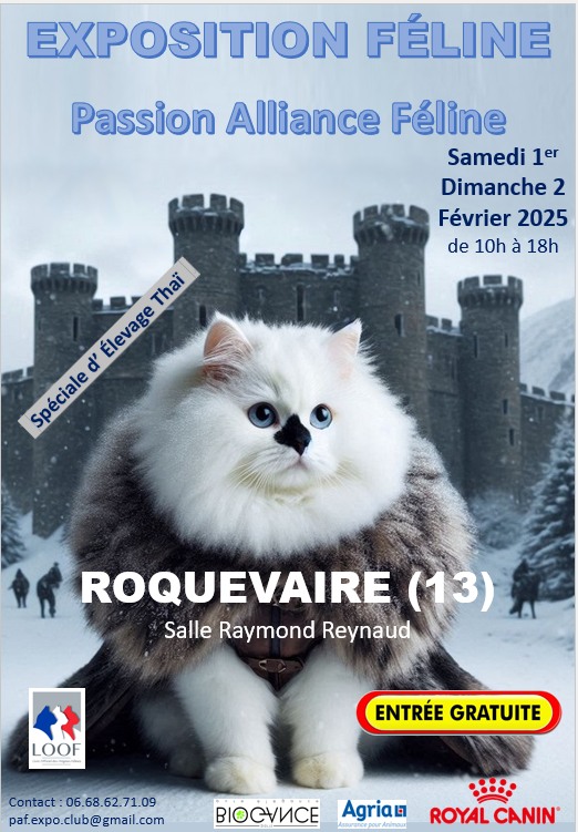 AFFICHE PAF EXPO ROQUEVAIRE 2025