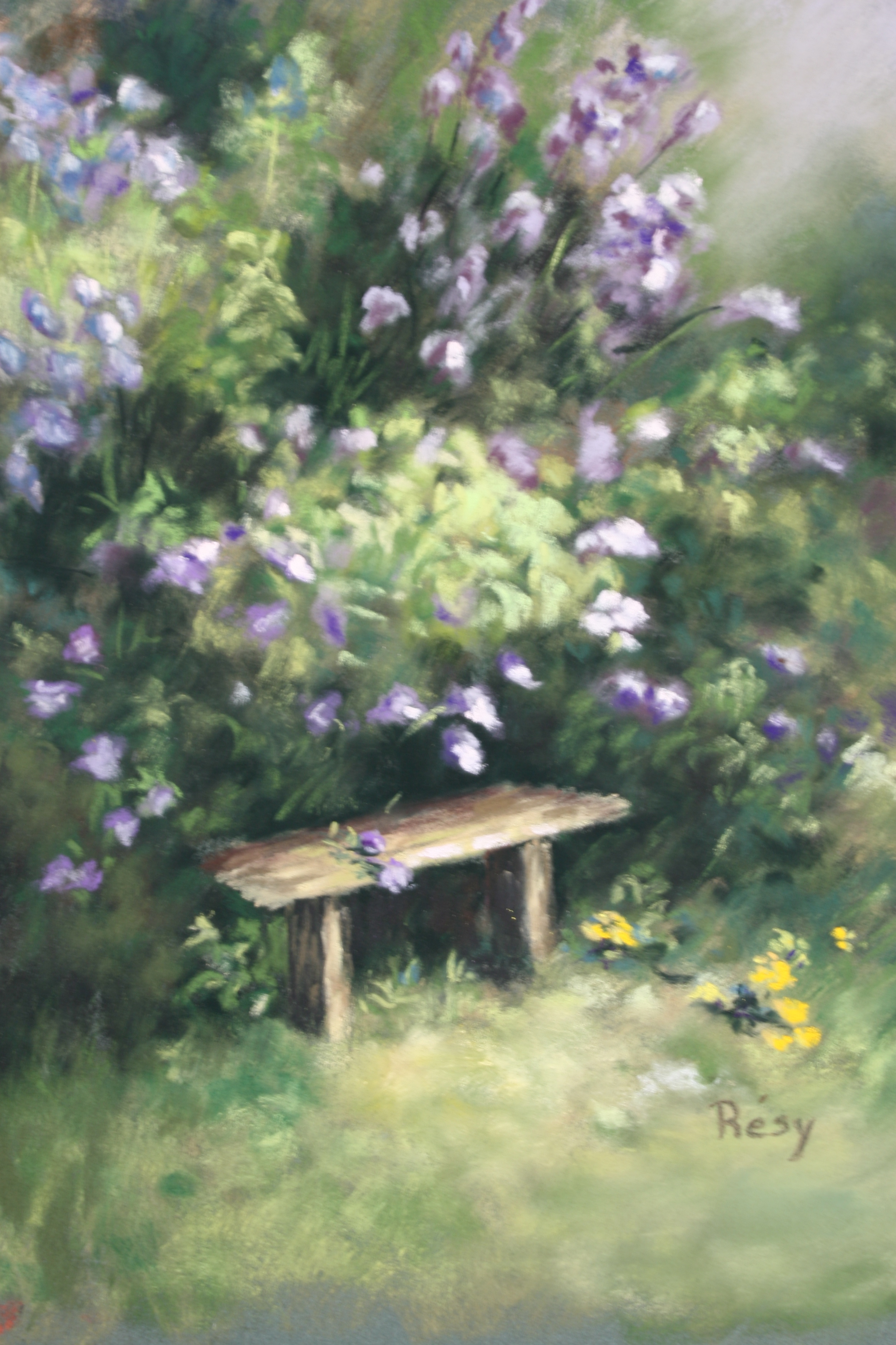 A le banc au printemps