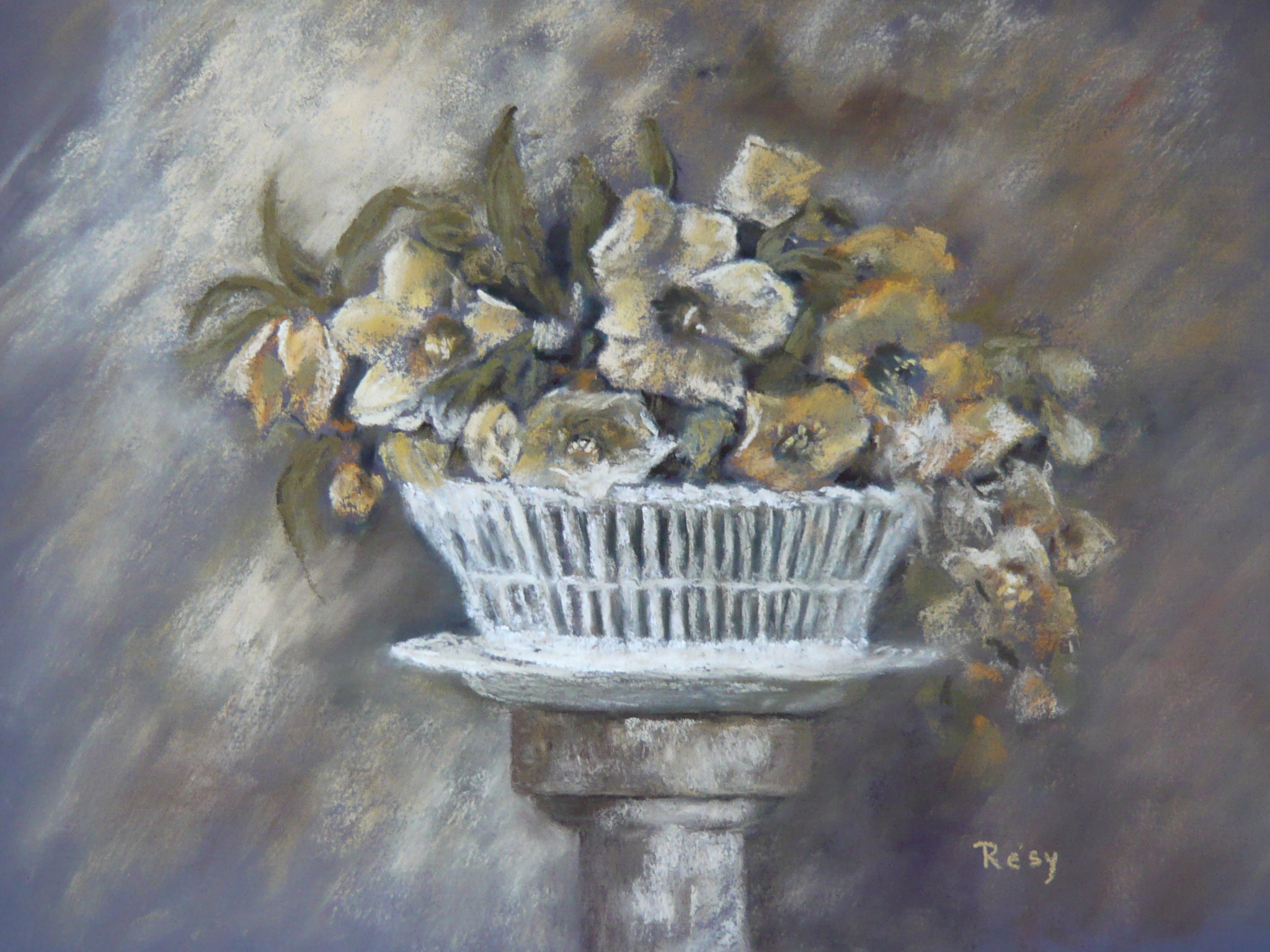 B anemones