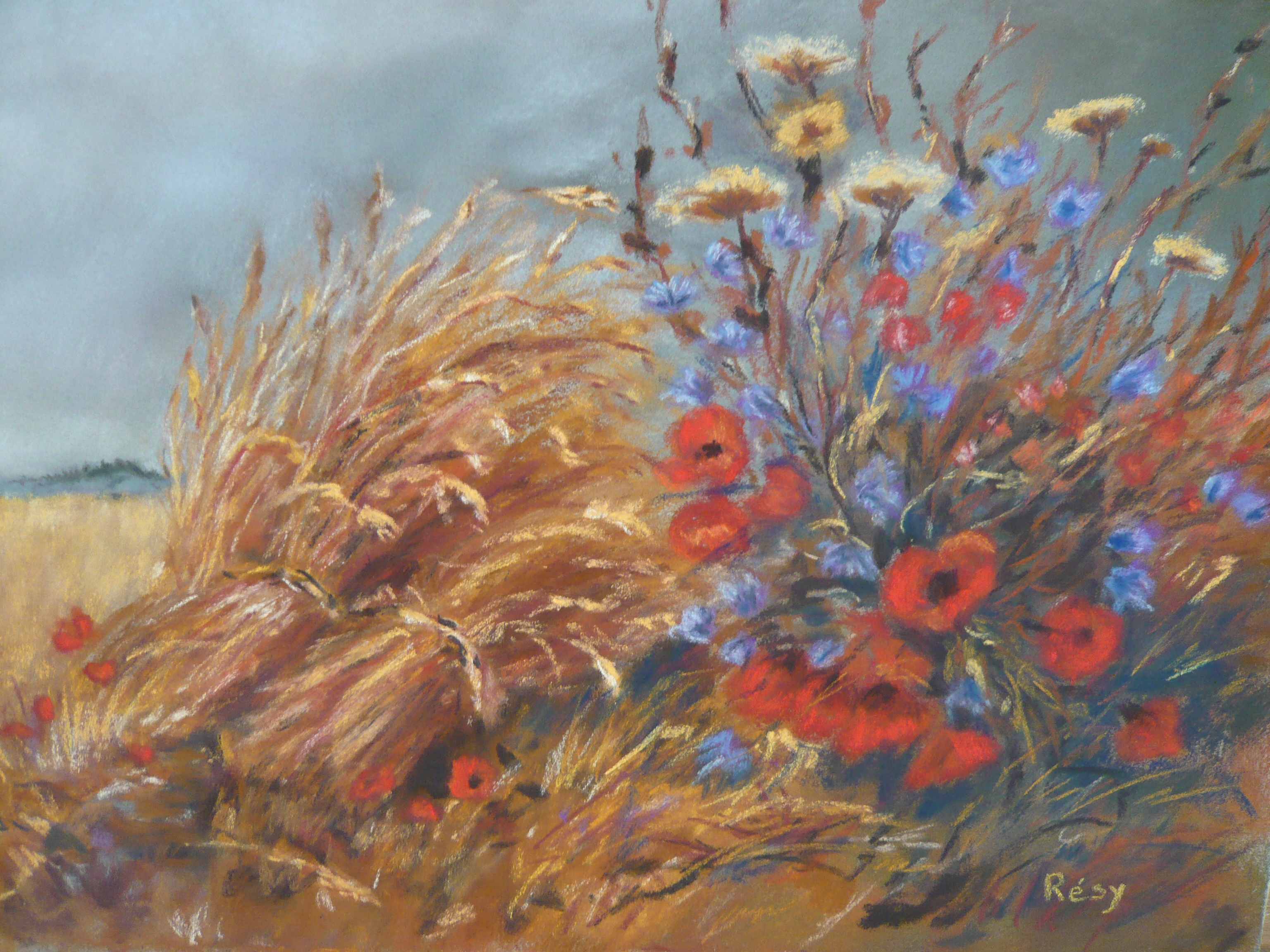 B bles et coquelicots