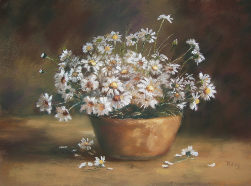 B marguerites