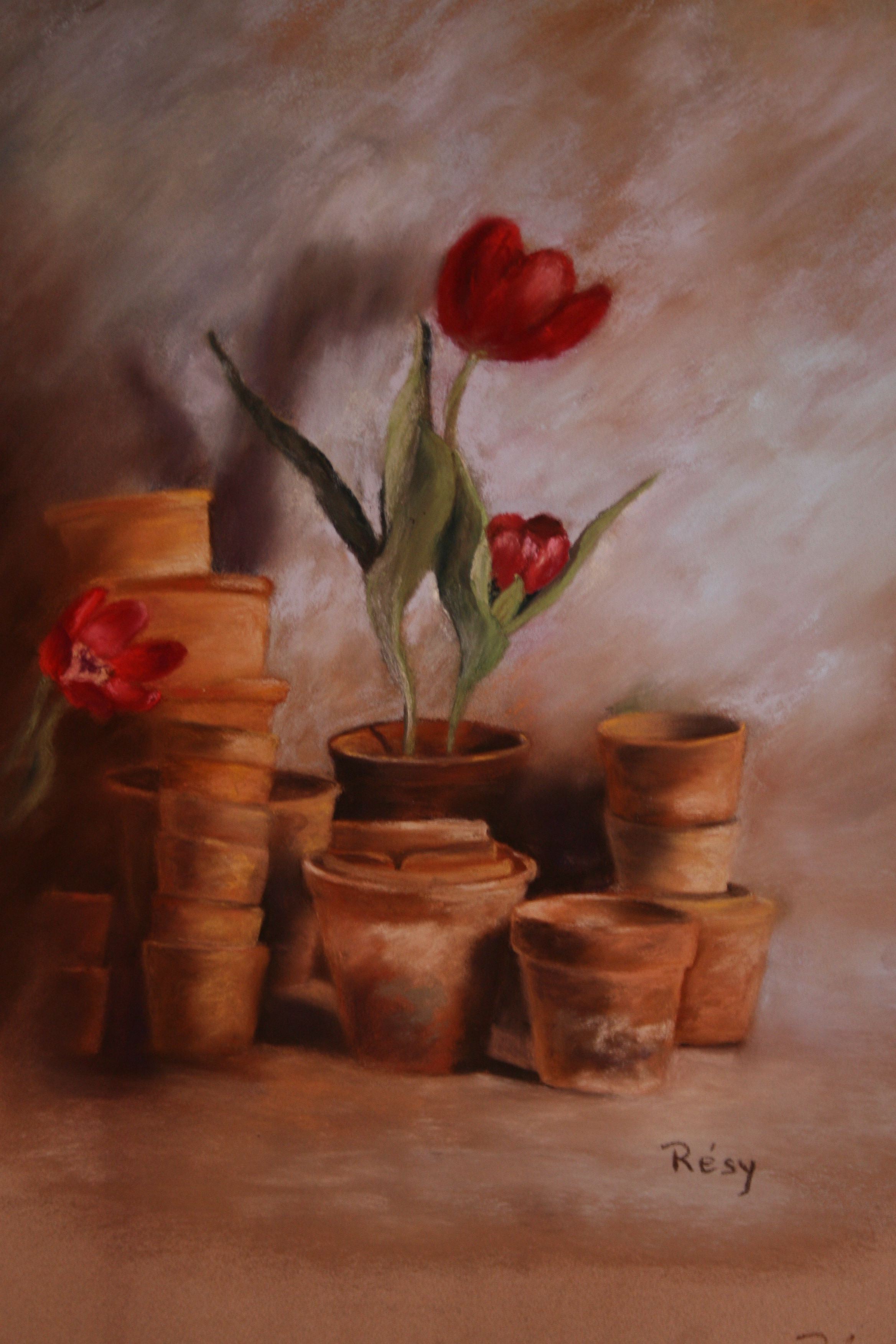 C pots et tulipes rouges