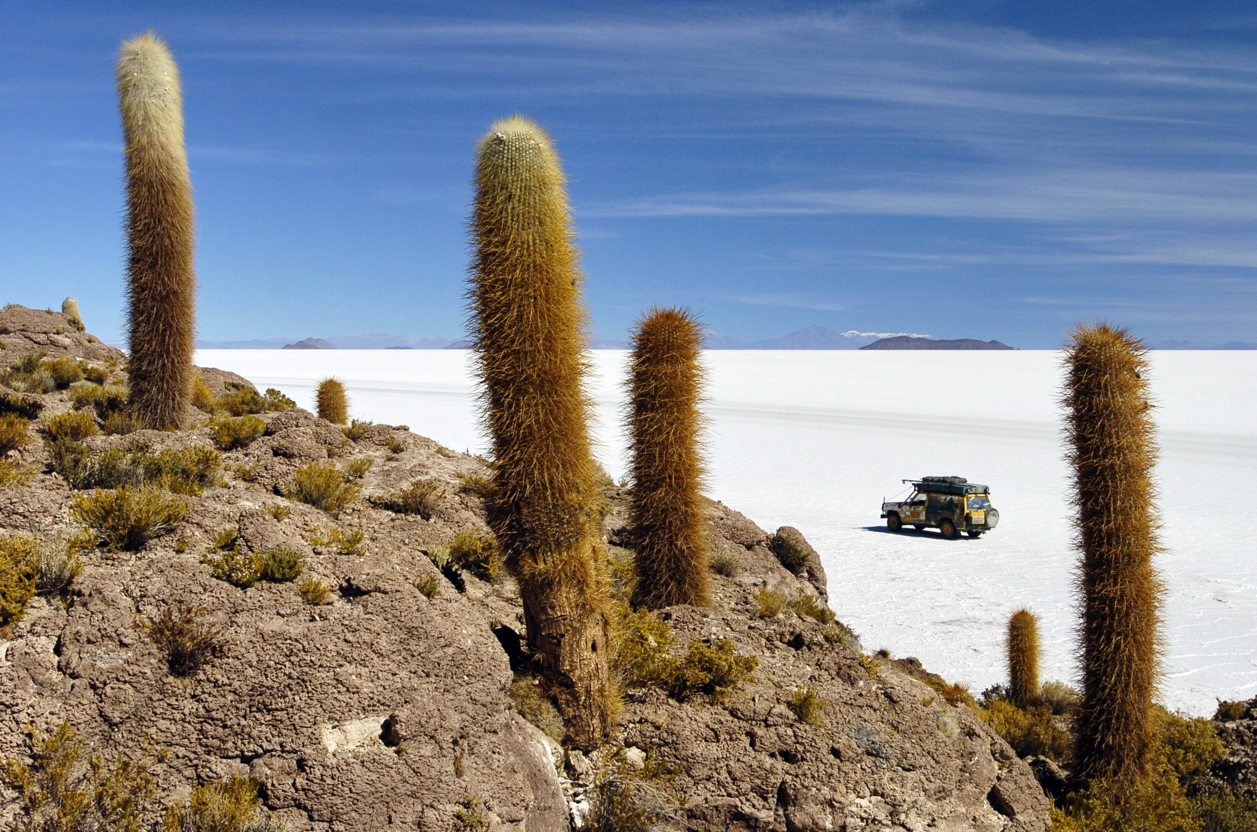Salar