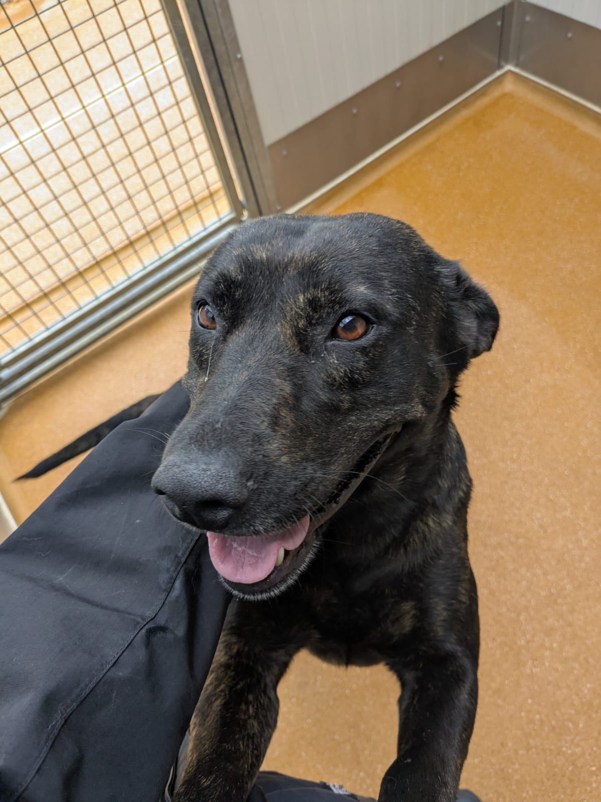 Whatsapp image 2025 06 12 at 09 58 10