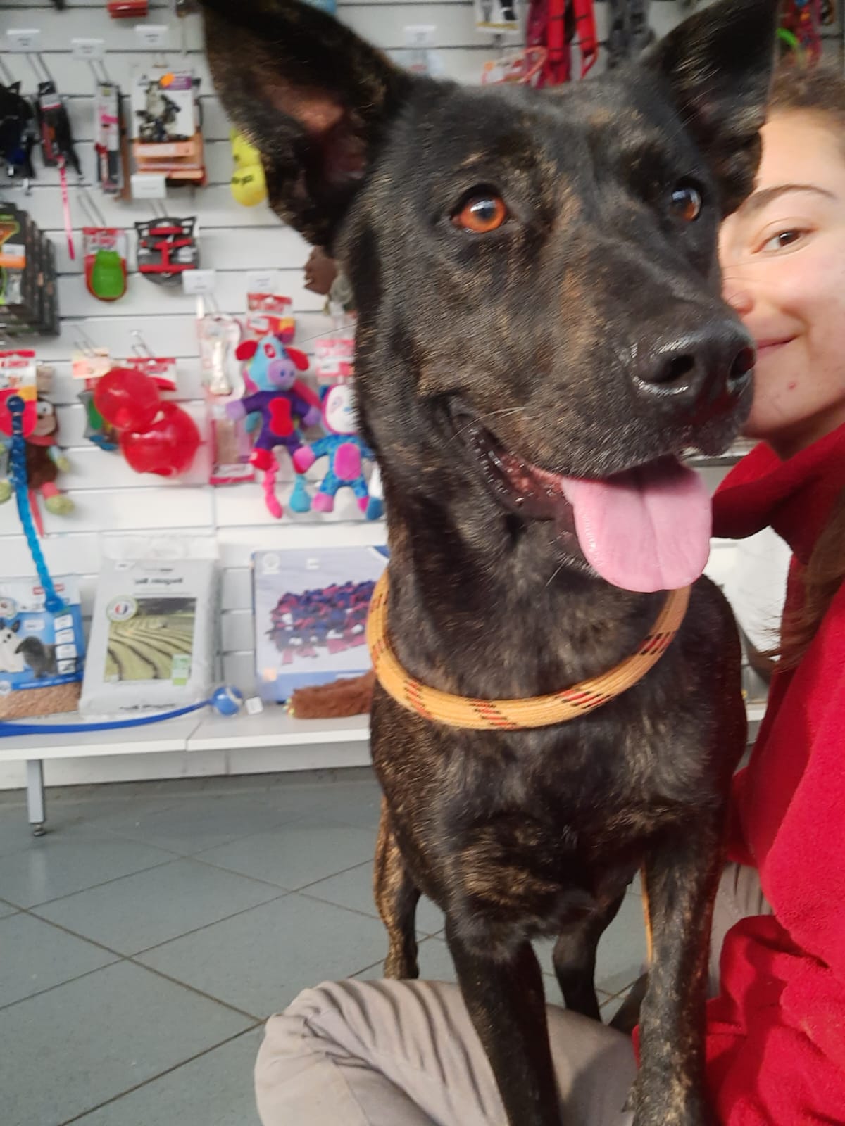 Whatsapp image 2025 06 13 at 09 06 05