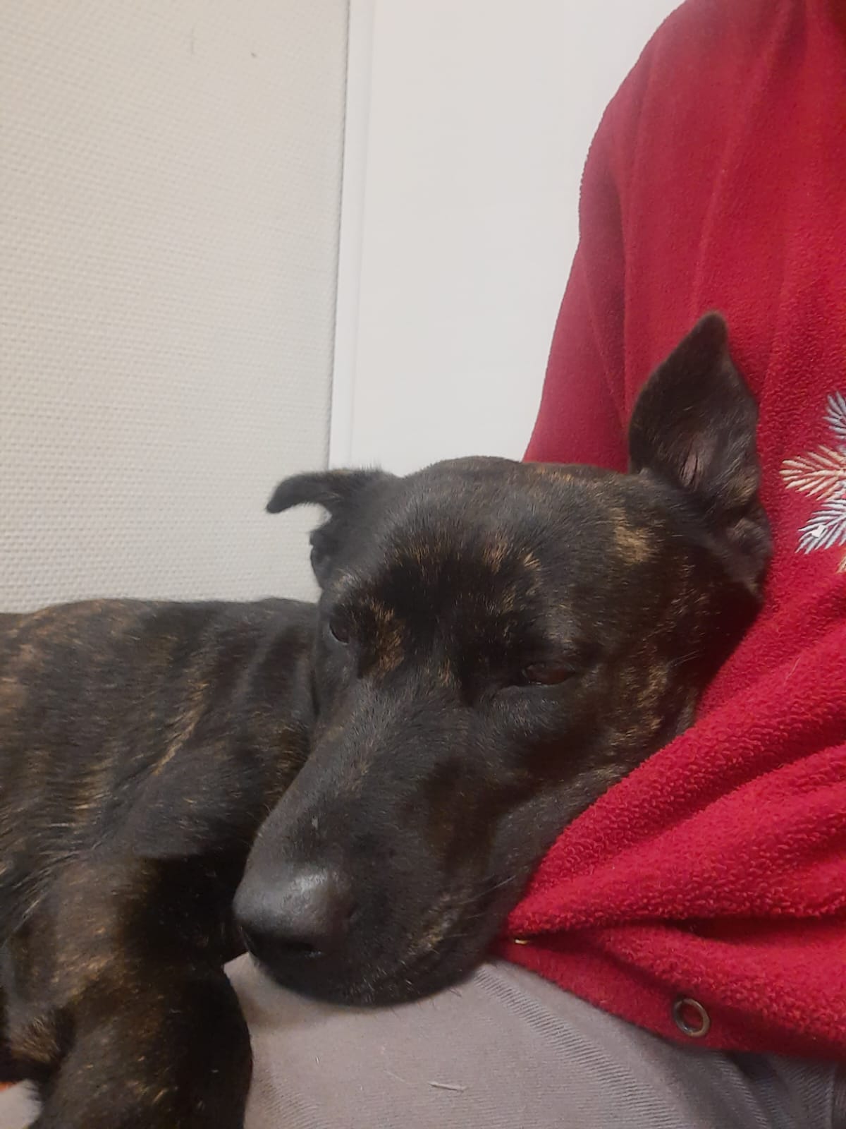 Whatsapp image 2025 06 13 at 09 06 04