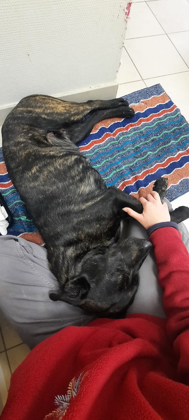 Whatsapp image 2025 06 13 at 09 05 58