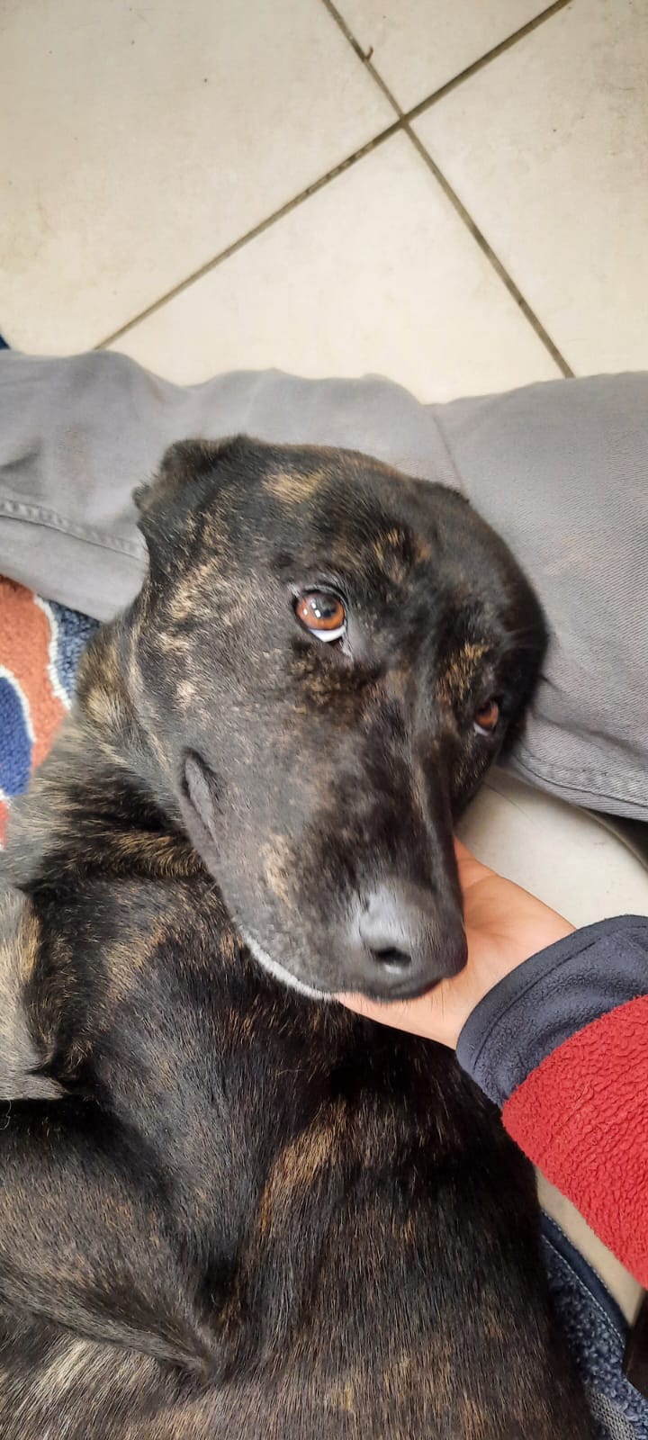 Whatsapp image 2025 06 13 at 09 05 57