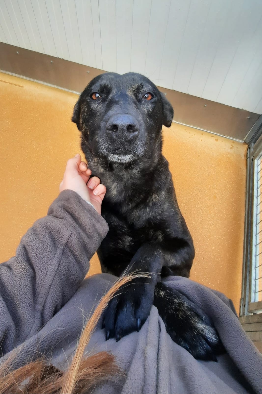 Whatsapp image 2025 06 13 at 09 05 51