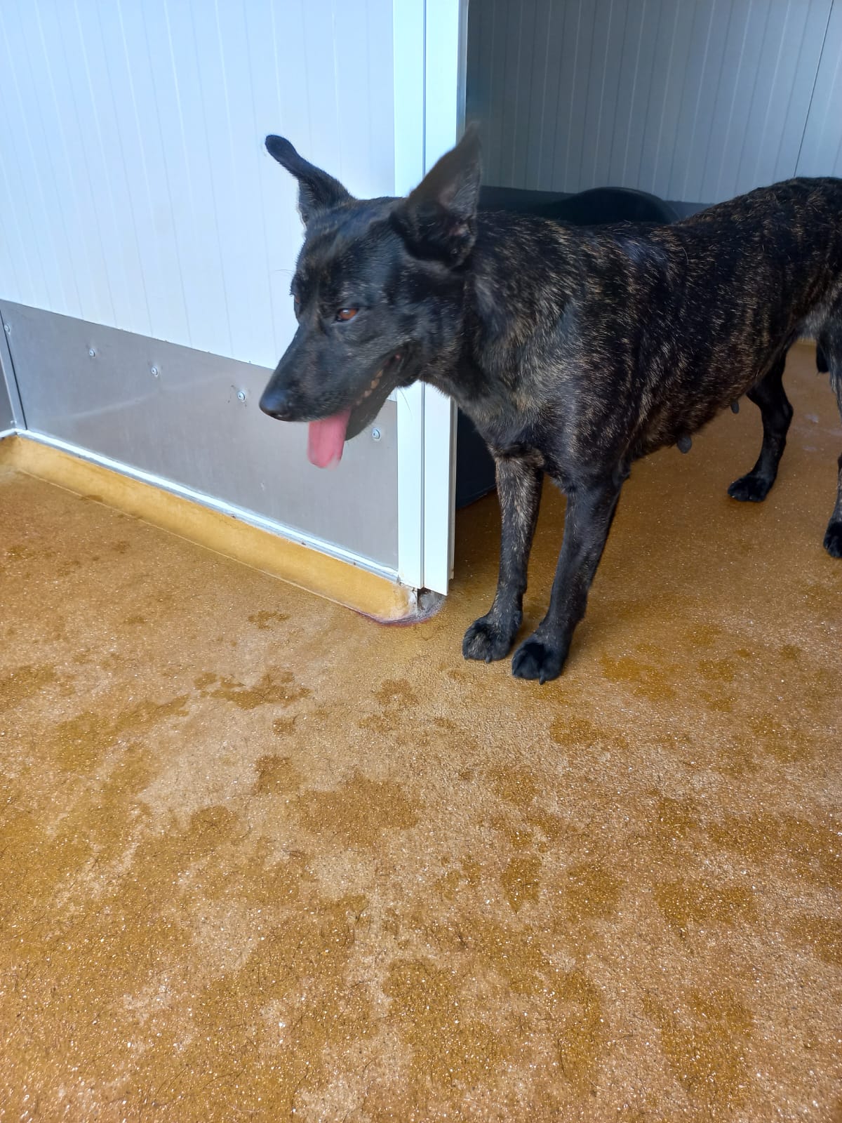 Whatsapp image 2025 06 13 at 16 17 28