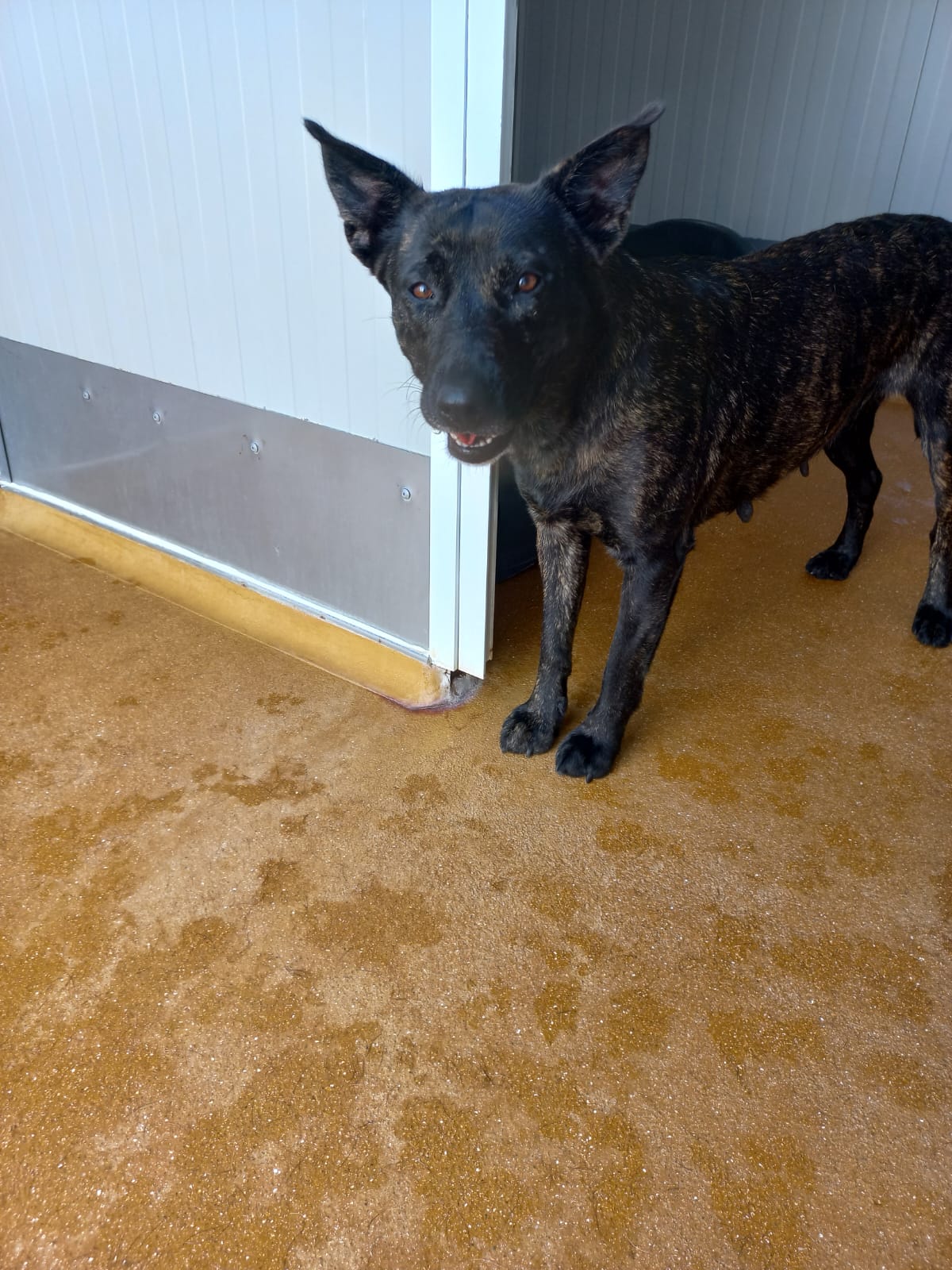 Whatsapp image 2025 06 13 at 16 17 27