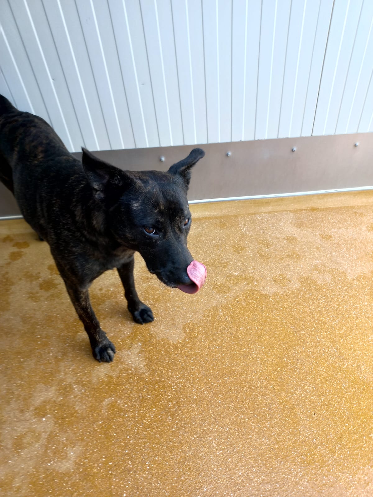 Whatsapp image 2025 06 13 at 16 17 14