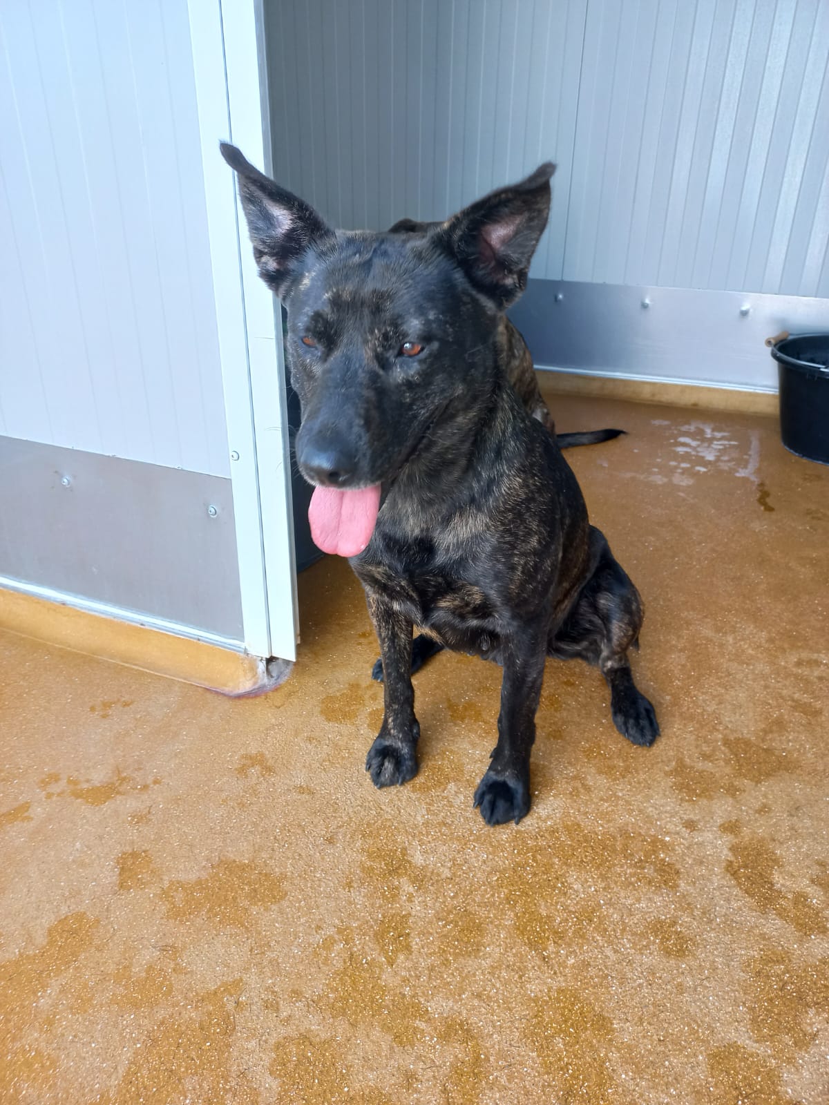 Whatsapp image 2025 06 13 at 16 17 00