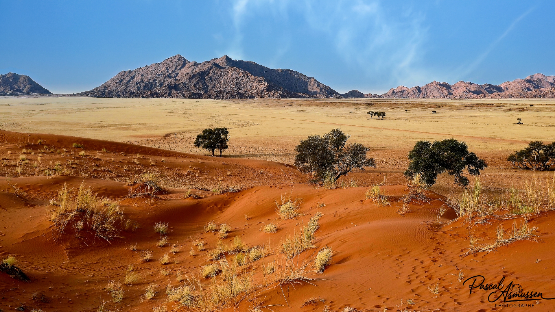 Vue de la dune elim a sossusvlei namibie grande 
