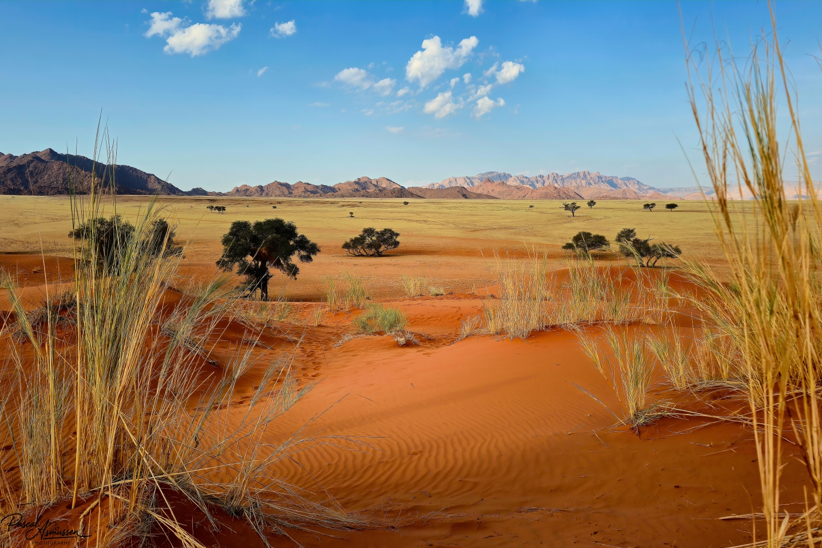 Vue 2 de la dune elim sossusvlei namibie grande 