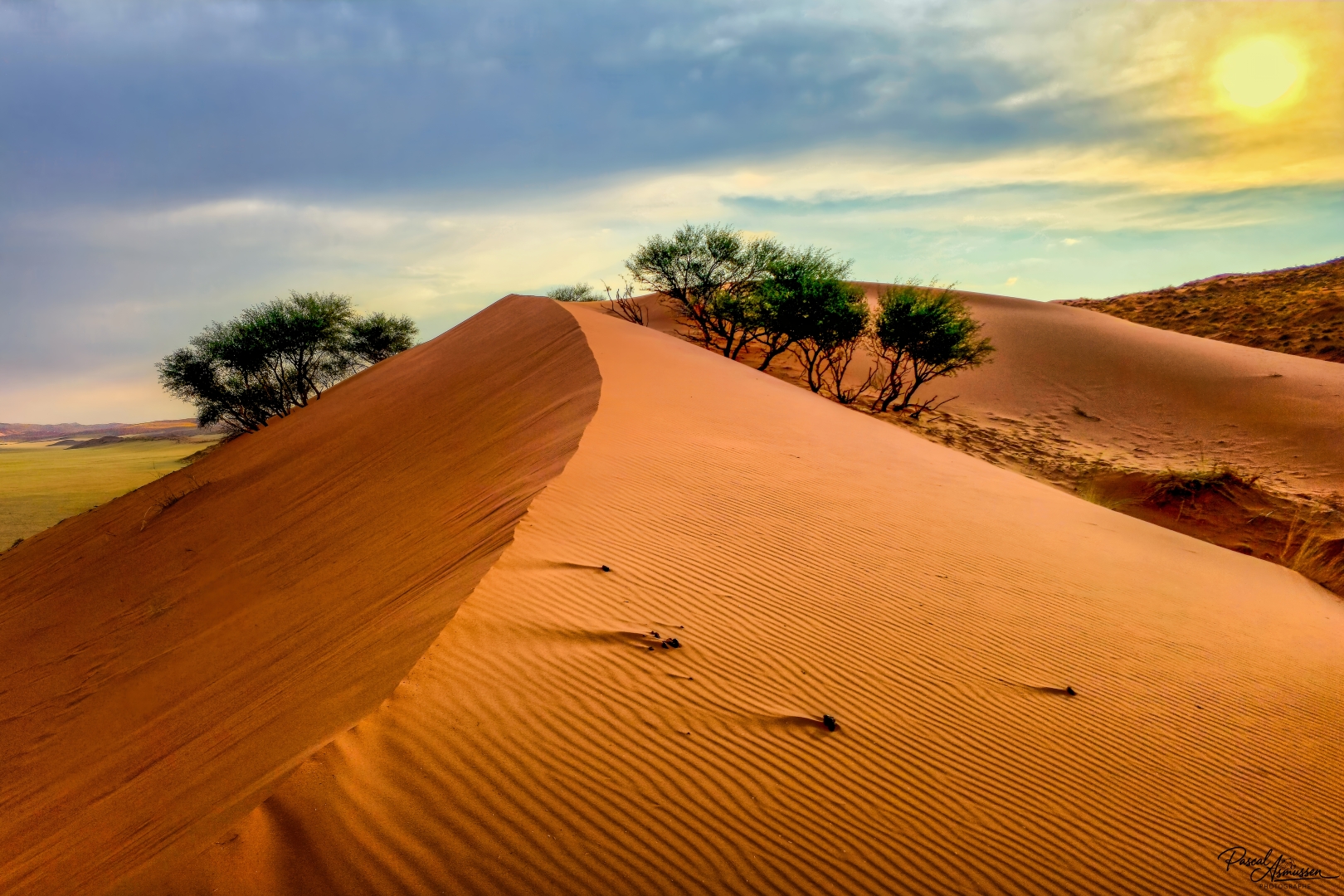 La dune elim sossusvlei namibienew  134004 grande 