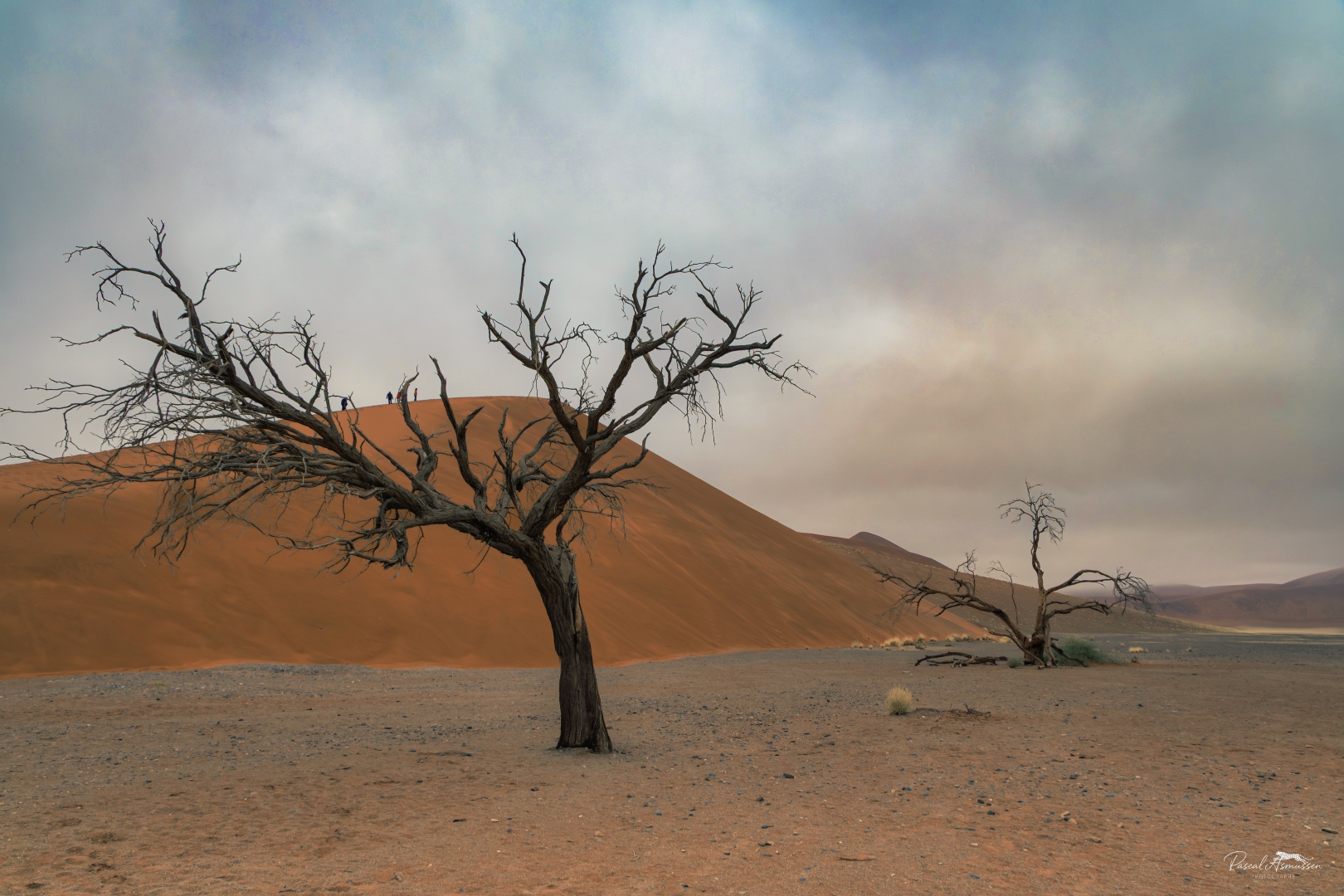 Dune sossusvlei le matin namibie grande 