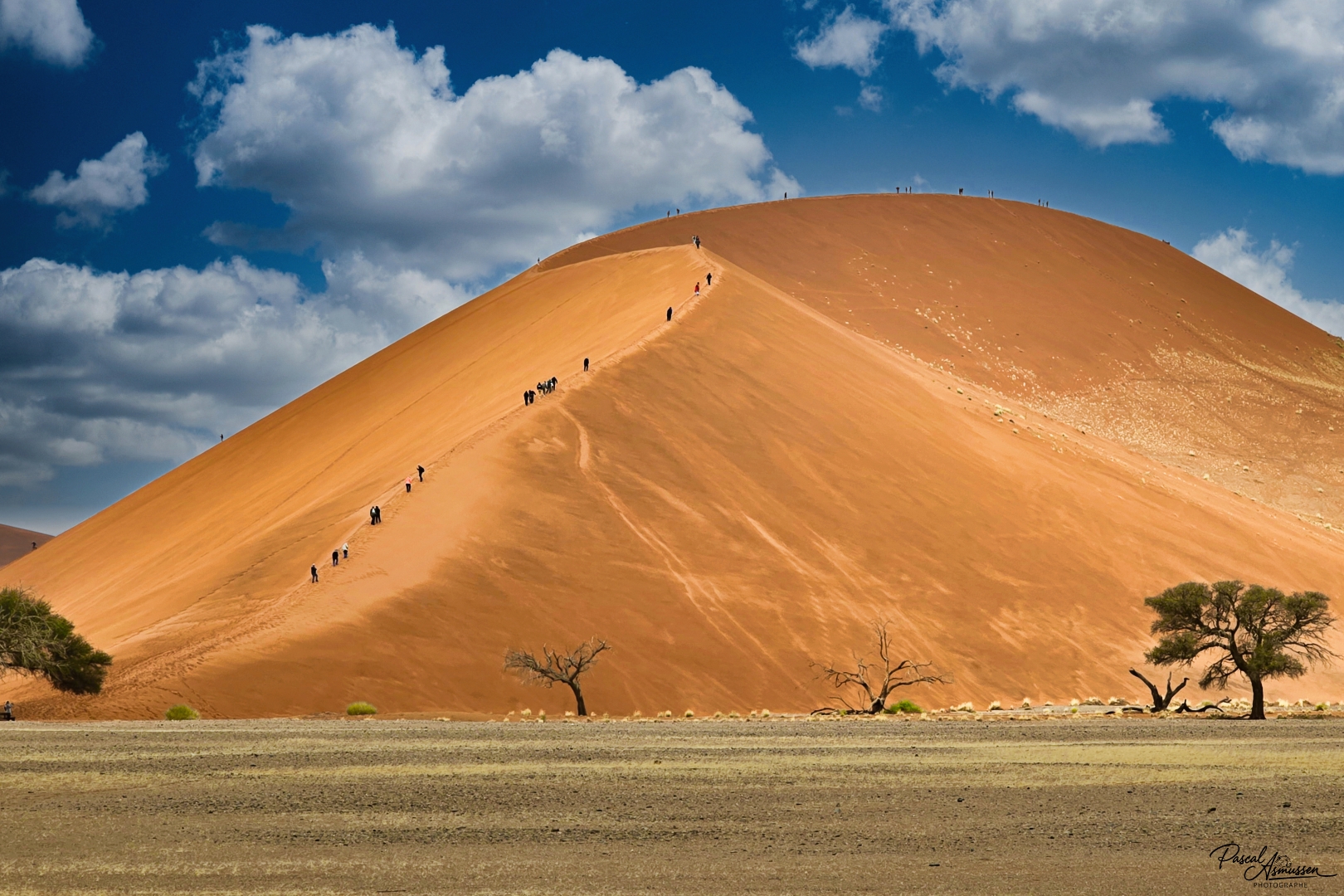 Dune 45 sossusvlei namibie grande 