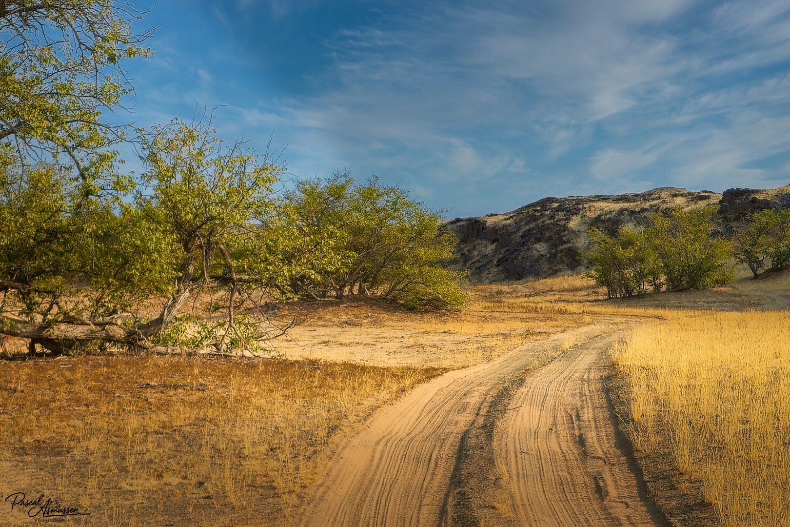 Desert du damaraland namibie grande 