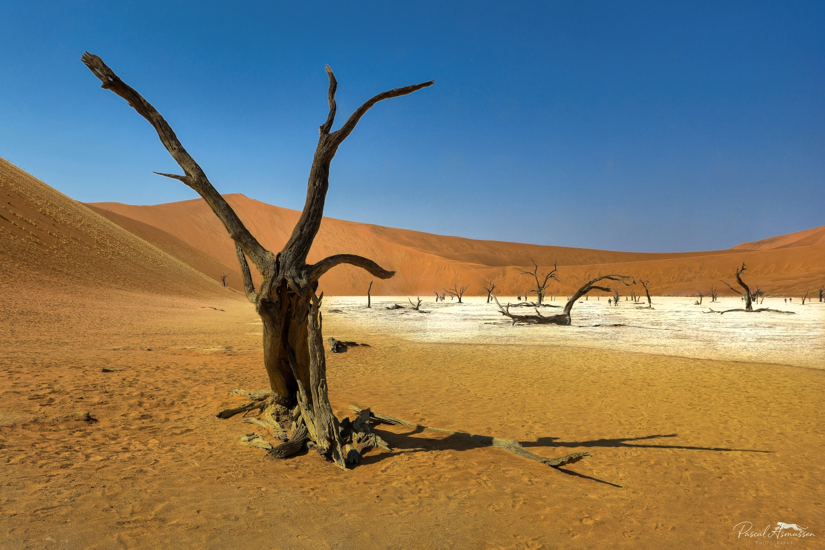 Deadvlei sossusvlei np namibie 1 grande 