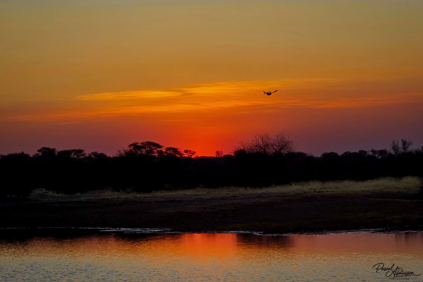 Coucher de soleil reserve okonjima namibie grande 