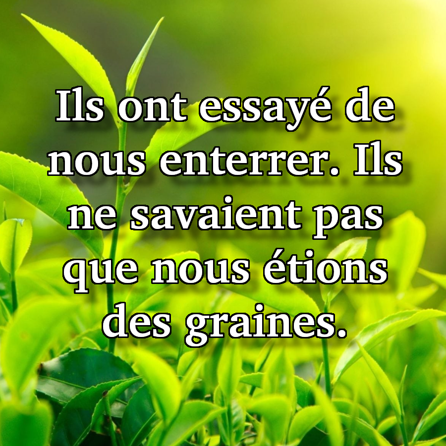 Enterrer-graines