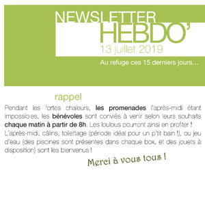 La Newsletter