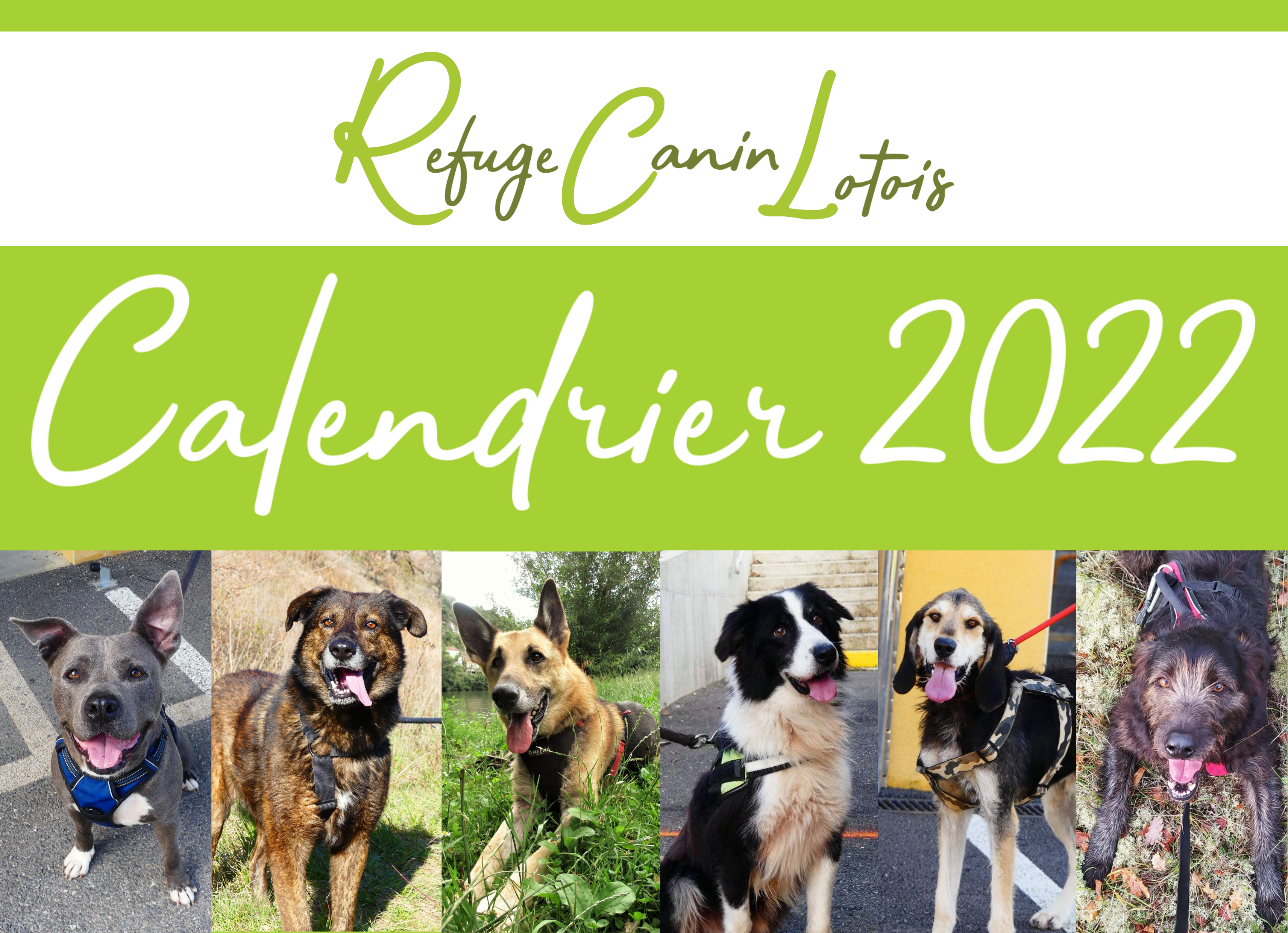 Le Calendrier 2022 du refuge est toujours en vente
